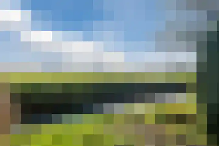 Tibsterwei 32 Ie thumbnail 62