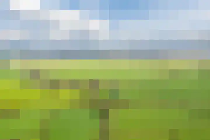 Tibsterwei 32 Ie thumbnail 63