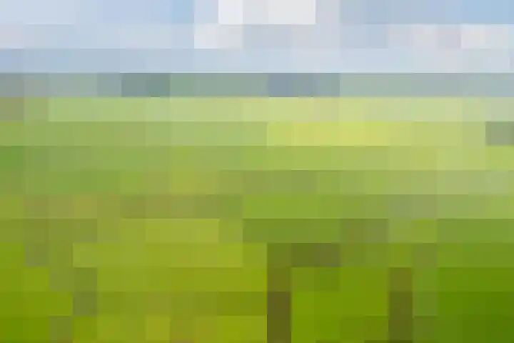 Tibsterwei 32 Ie thumbnail 64