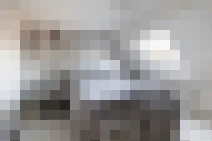 Ticeline 23 Kollum thumbnail 25