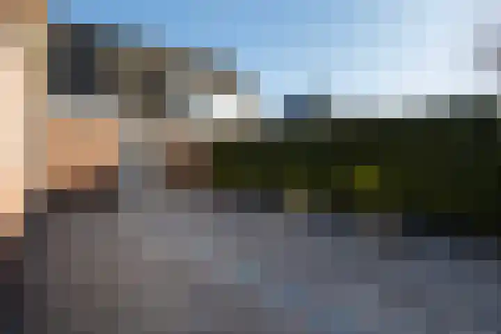 Ticeline 23 Kollum thumbnail 36