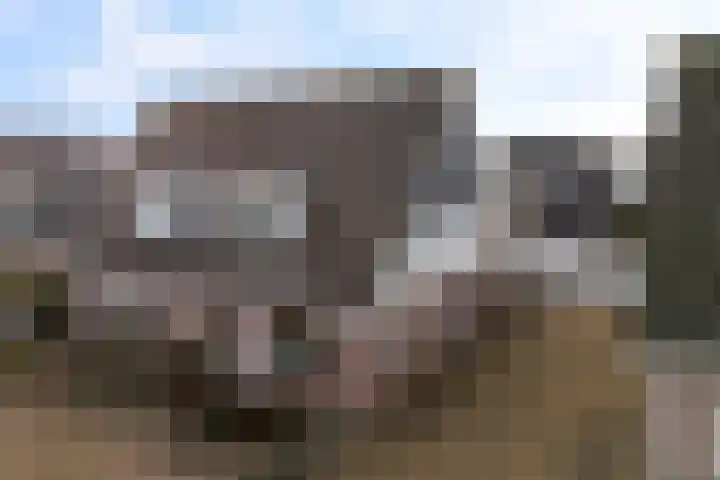 Ticeline 23 Kollum thumbnail 48