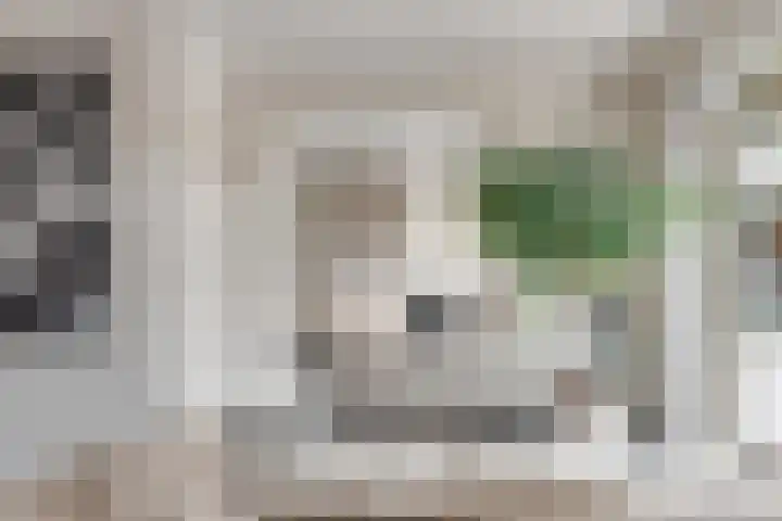 Tichelaar 1 Beuningen Gld thumbnail 10