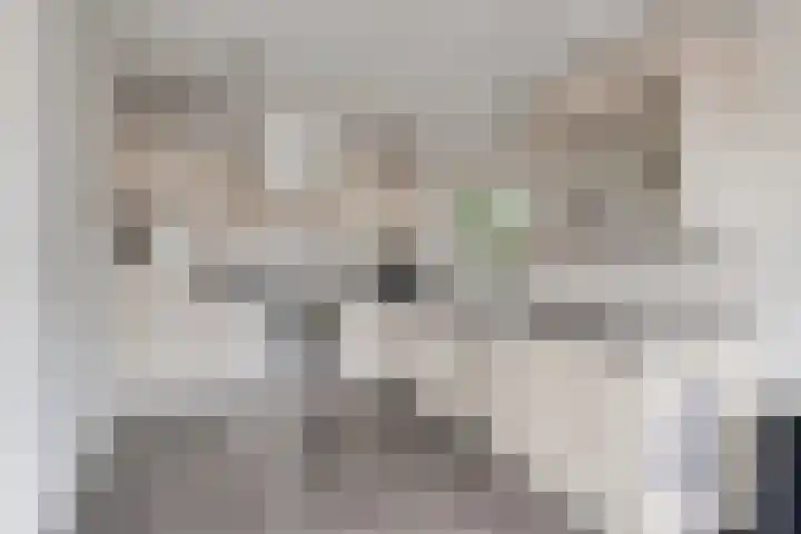 Tichelaar 1 Beuningen Gld thumbnail 11