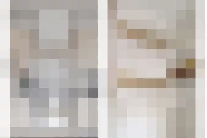 Tichelaar 1 Beuningen Gld thumbnail 12