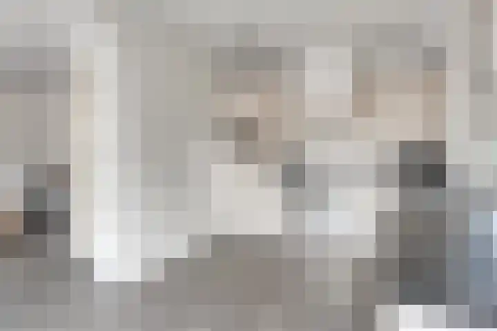 Tichelaar 1 Beuningen Gld thumbnail 13