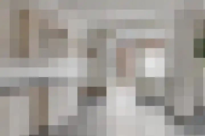 Tichelaar 1 Beuningen Gld thumbnail 14