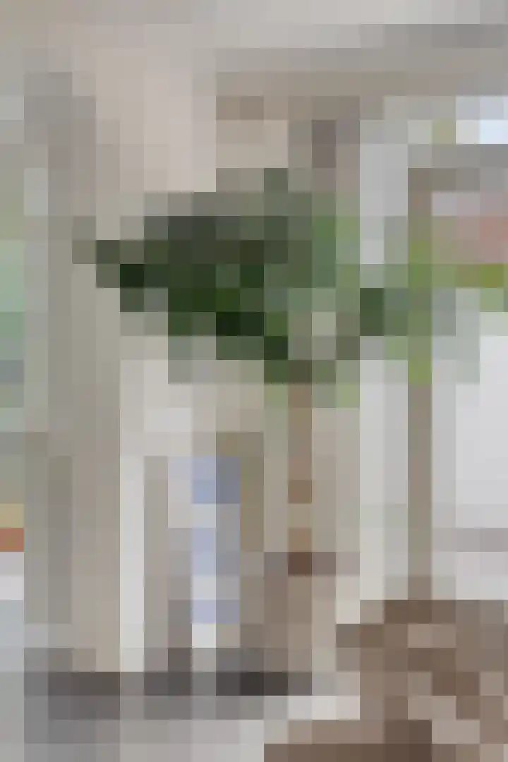 Tichelaar 1 Beuningen Gld thumbnail 15