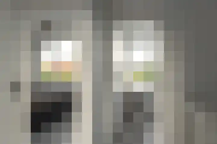 Tichelaar 1 Beuningen Gld thumbnail 17