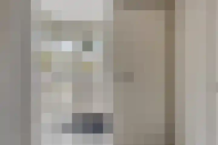 Tichelaar 1 Beuningen Gld thumbnail 19