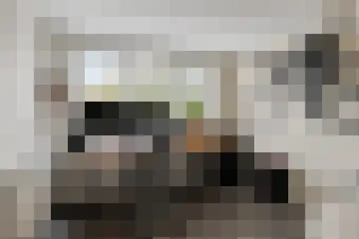 Tichelaar 1 Beuningen Gld thumbnail 20