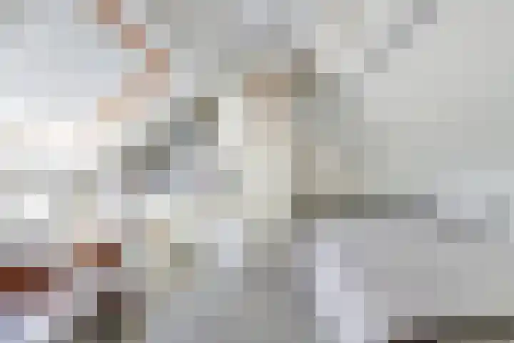 Tichelaar 1 Beuningen Gld thumbnail 21