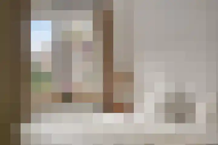 Tichelaar 1 Beuningen Gld thumbnail 23