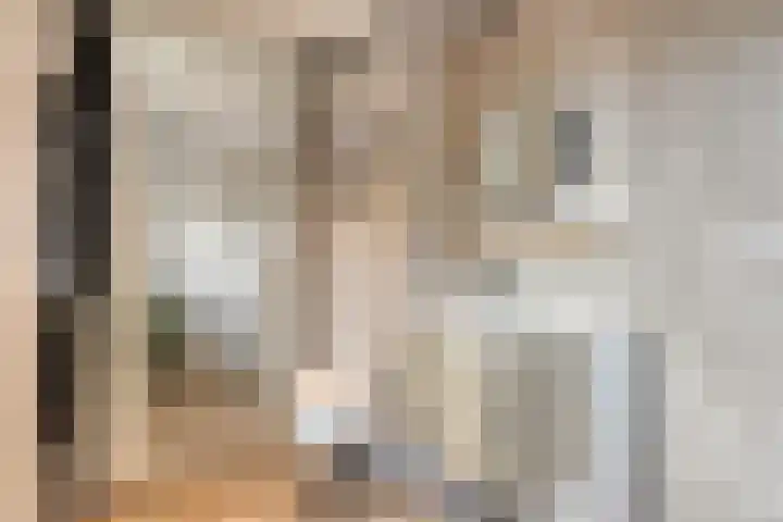 Tichelaar 1 Beuningen Gld thumbnail 25