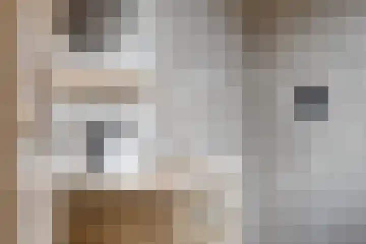 Tichelaar 1 Beuningen Gld thumbnail 26