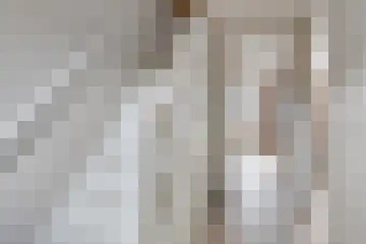 Tichelaar 1 Beuningen Gld thumbnail 27