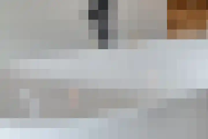 Tichelaar 1 Beuningen Gld thumbnail 31