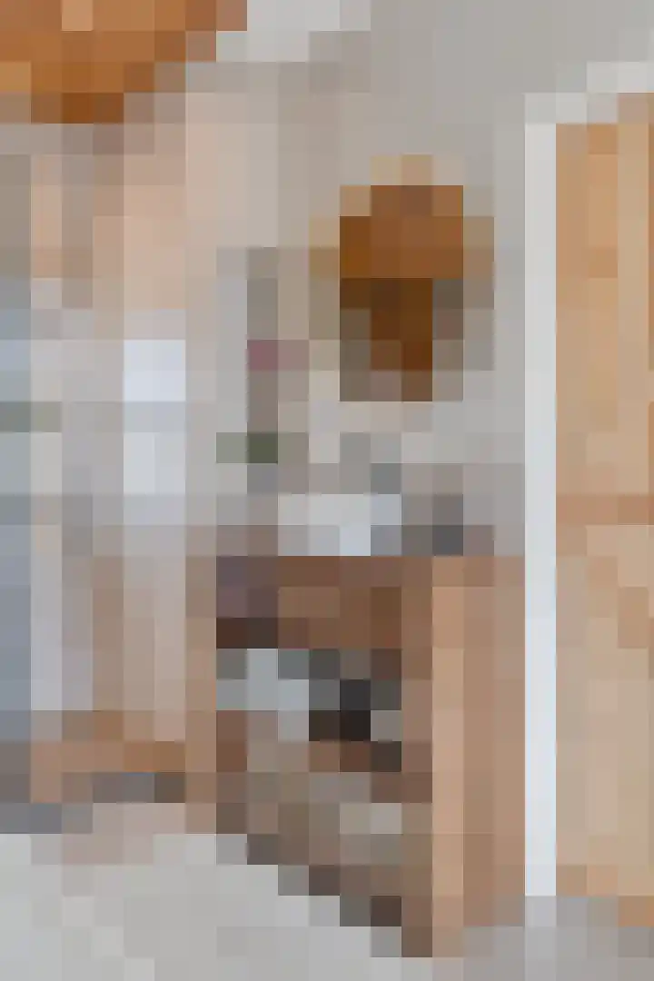Tichelaar 1 Beuningen Gld thumbnail 32