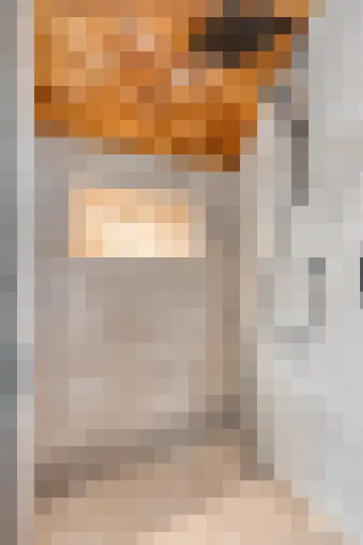 Tichelaar 1 Beuningen Gld thumbnail 33
