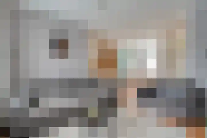 Tichelaar 1 Beuningen Gld thumbnail 34