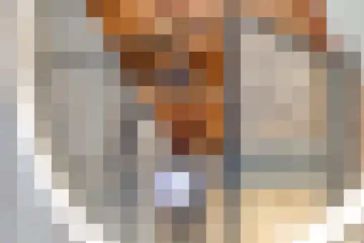 Tichelaar 1 Beuningen Gld thumbnail 34