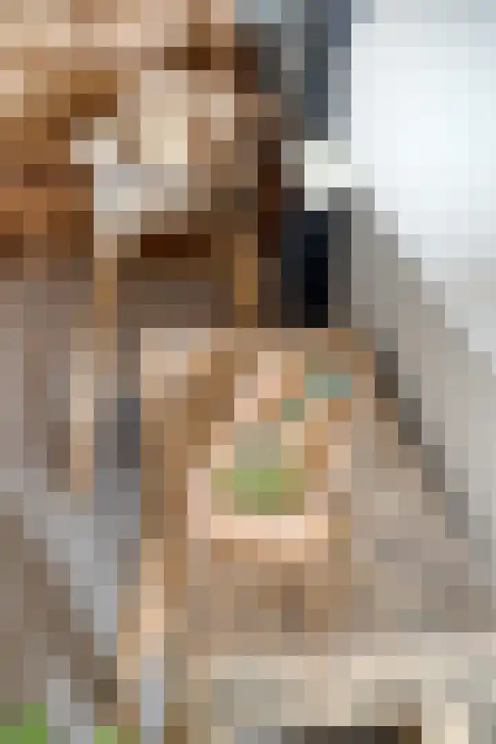 Tichelaar 1 Beuningen Gld thumbnail 35