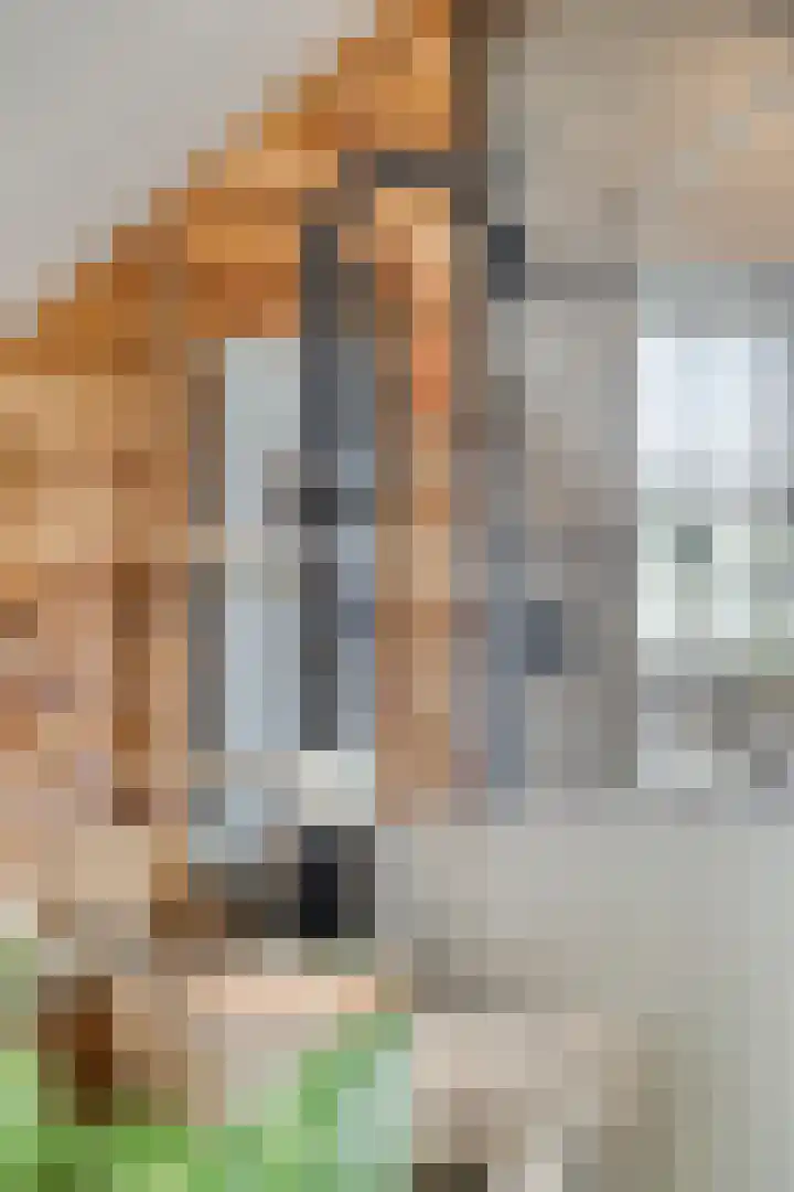 Tichelaar 1 Beuningen Gld thumbnail 36