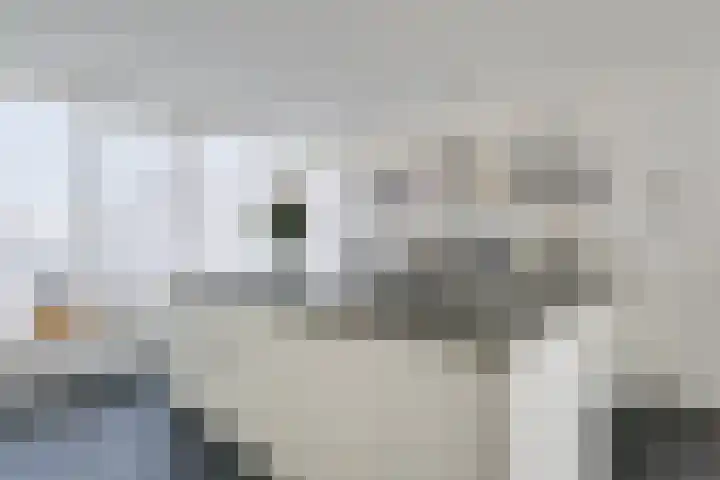 Tichelaar 1 Beuningen Gld thumbnail 37