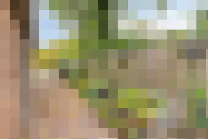 Tichelaar 1 Beuningen Gld thumbnail 37