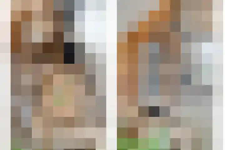 Tichelaar 1 Beuningen Gld thumbnail 4