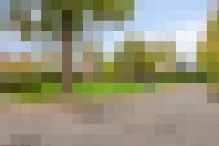 Tichelaar 1 Beuningen Gld thumbnail 40
