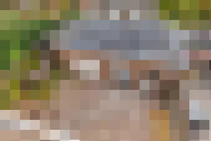 Tichelaar 1 Beuningen Gld thumbnail 41