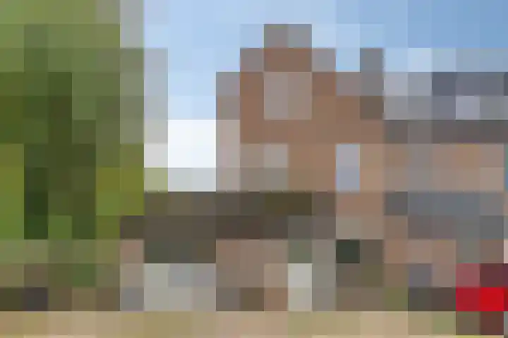Tichelaar 1 Beuningen Gld thumbnail 42