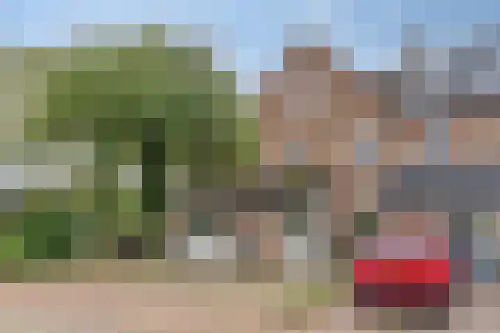 Tichelaar 1 Beuningen Gld thumbnail 43