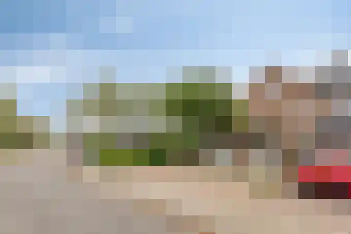Tichelaar 1 Beuningen Gld thumbnail 44