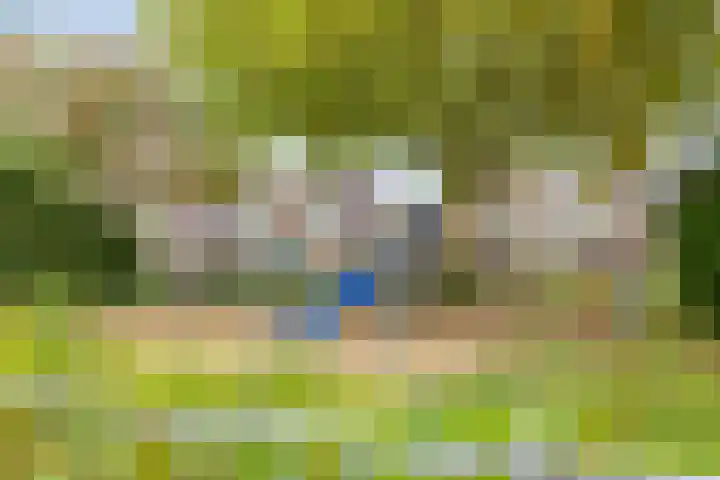 Tichelaar 1 Beuningen Gld thumbnail 46