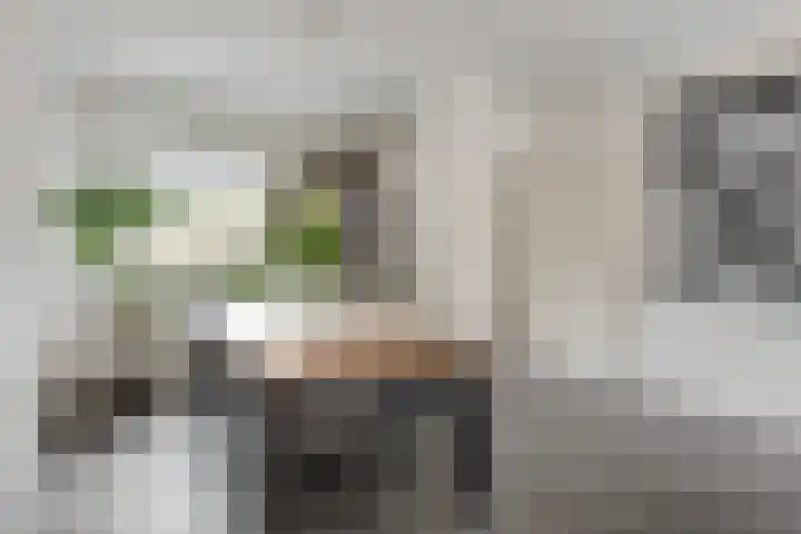 Tichelaar 1 Beuningen Gld thumbnail 5