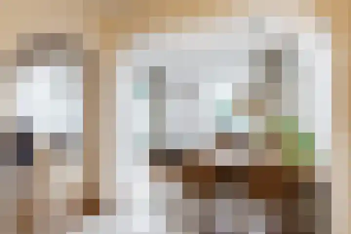 Tichelaar 1 Beuningen Gld thumbnail 7