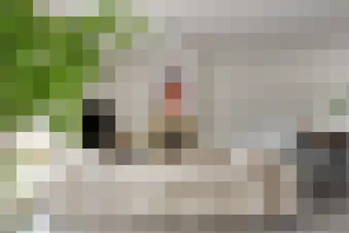 Tichelaar 1 Beuningen Gld thumbnail 7