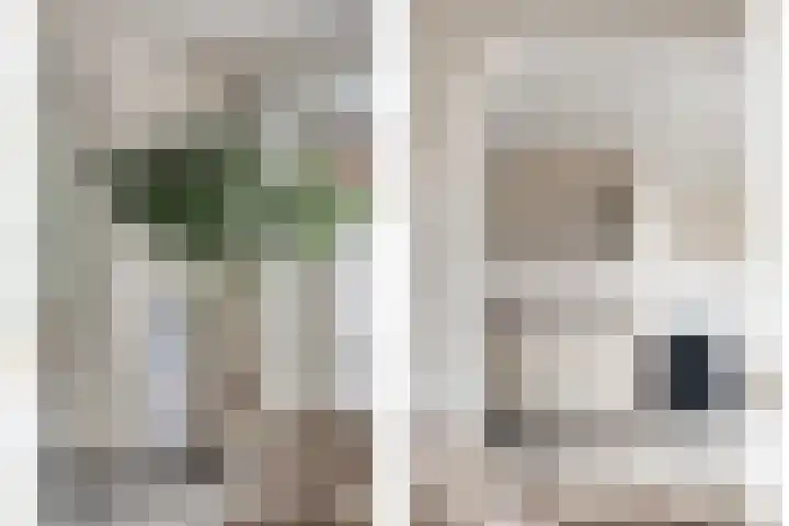 Tichelaar 1 Beuningen Gld thumbnail 9