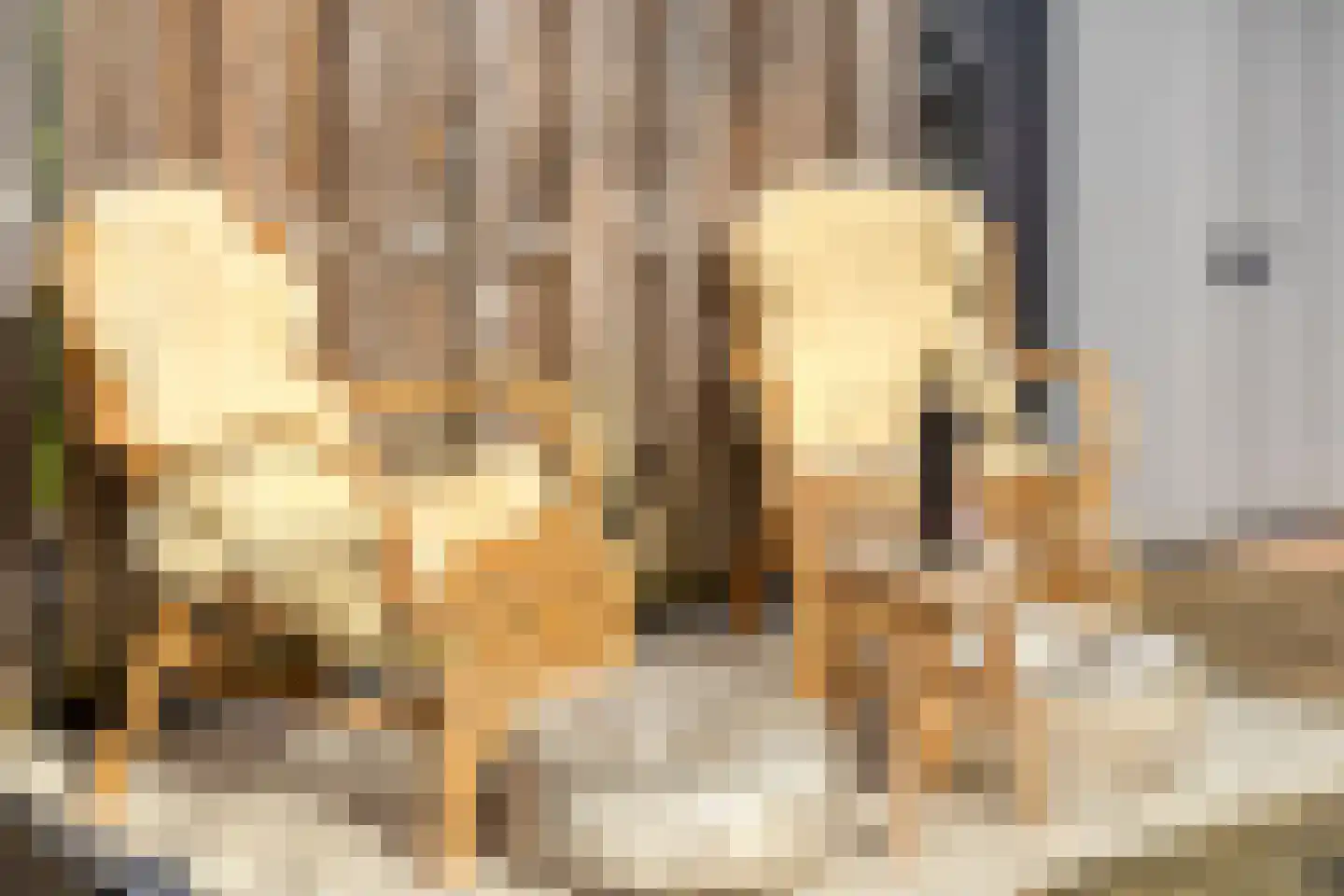 Tichelaar 12 Beuningen Gld thumbnail 33