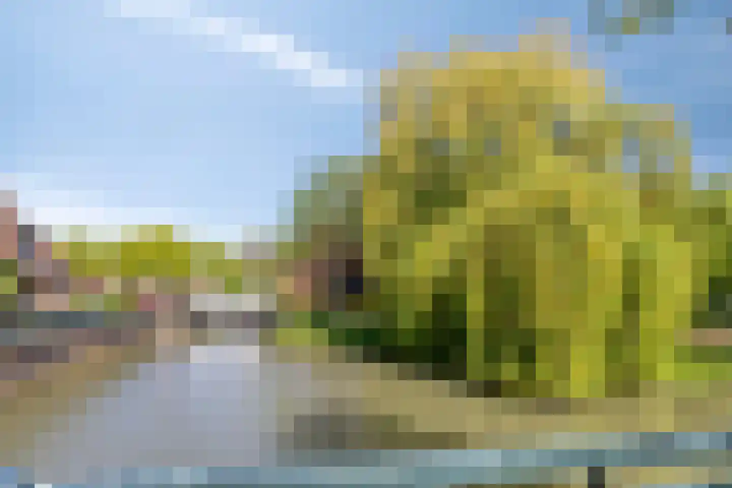 Tichelaar 12 Beuningen Gld thumbnail 38