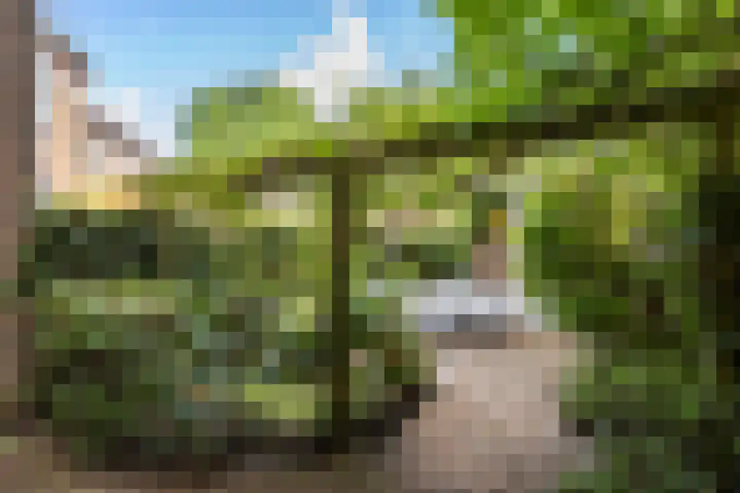 Tichelaar 58 Beuningen Gld thumbnail 11