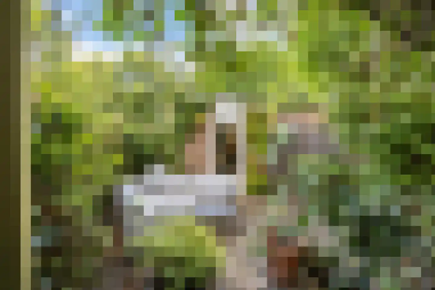 Tichelaar 58 Beuningen Gld thumbnail 12