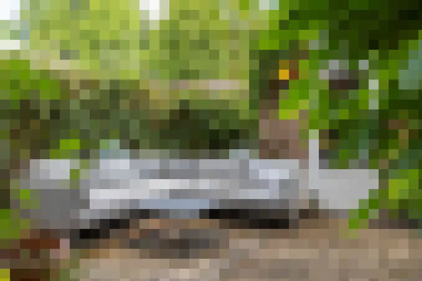 Tichelaar 58 Beuningen Gld thumbnail 13