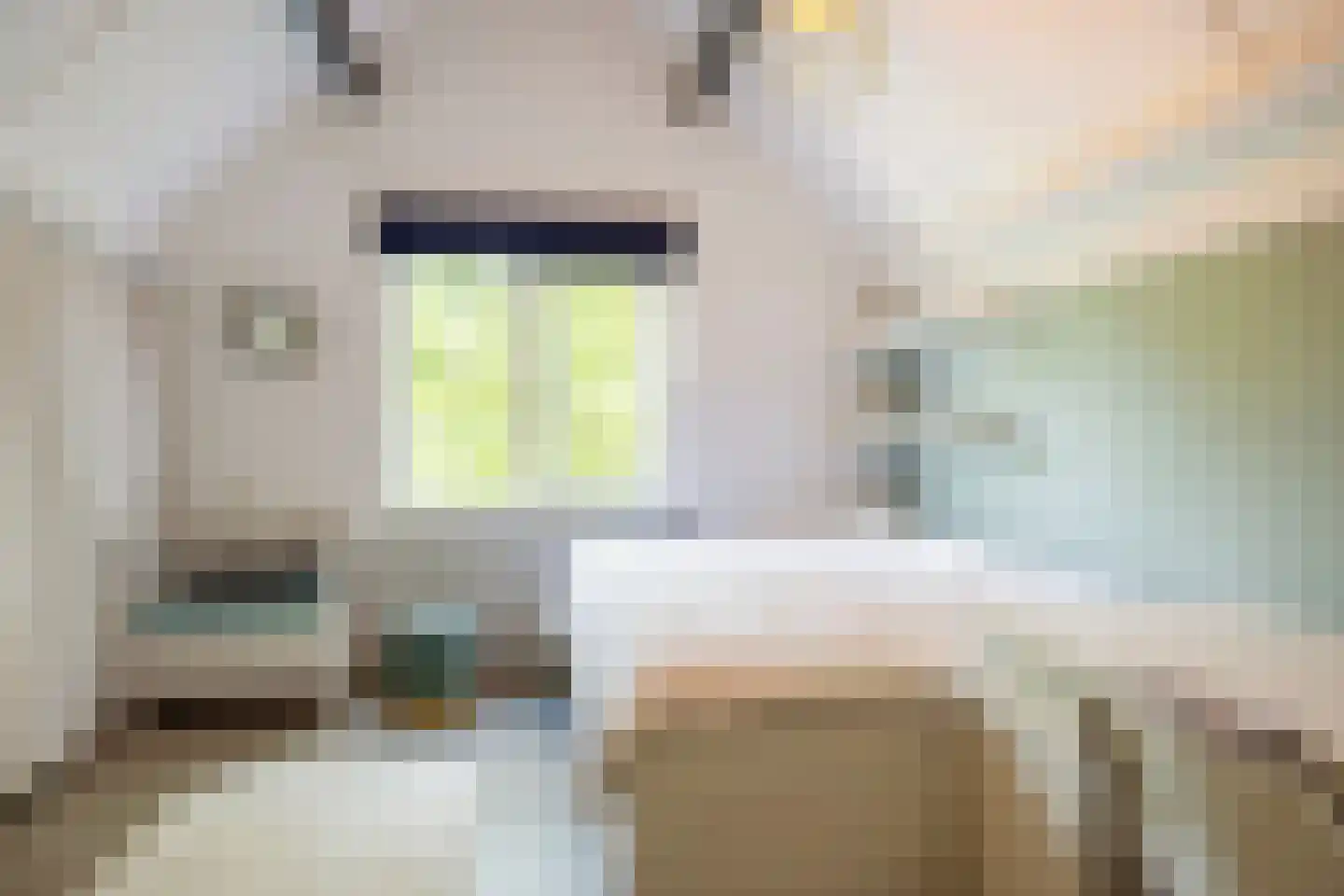 Tichelaar 58 Beuningen Gld thumbnail 24