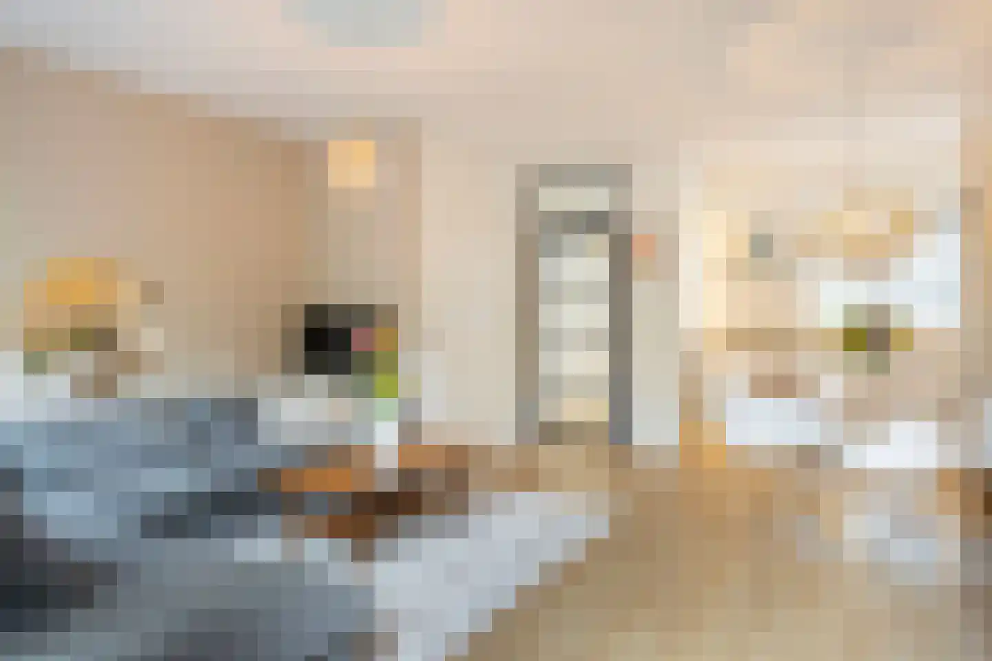 Tichelaar 58 Beuningen Gld thumbnail 6
