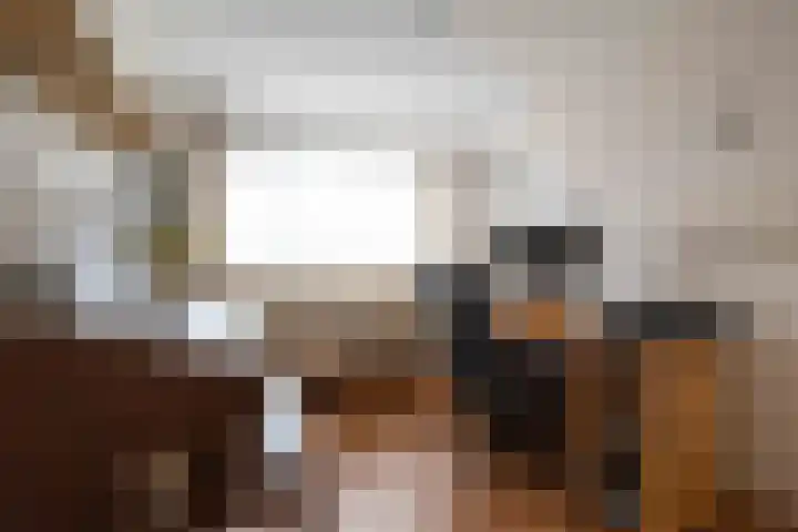 Tichelaarsdonk 128 Apeldoorn thumbnail 19