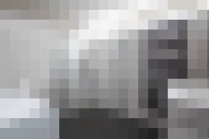 Tichelaarsdonk 128 Apeldoorn thumbnail 21