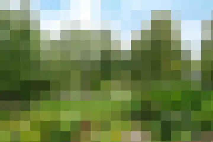Tichelaarsdonk 128 Apeldoorn thumbnail 32